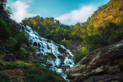 Nature rainforest landscapes of mae ya waterfall in chiang mai