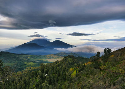 Scenic view of landscape against sky