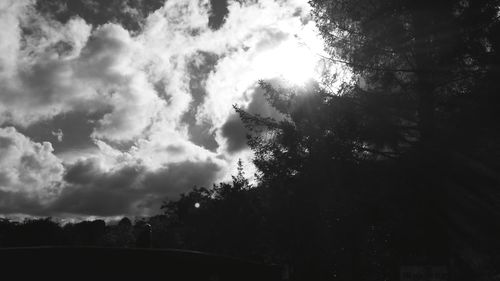 Low angle view of trees against sky