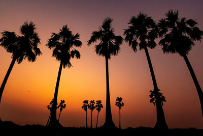 Silhouette palm trees against sky during sunset