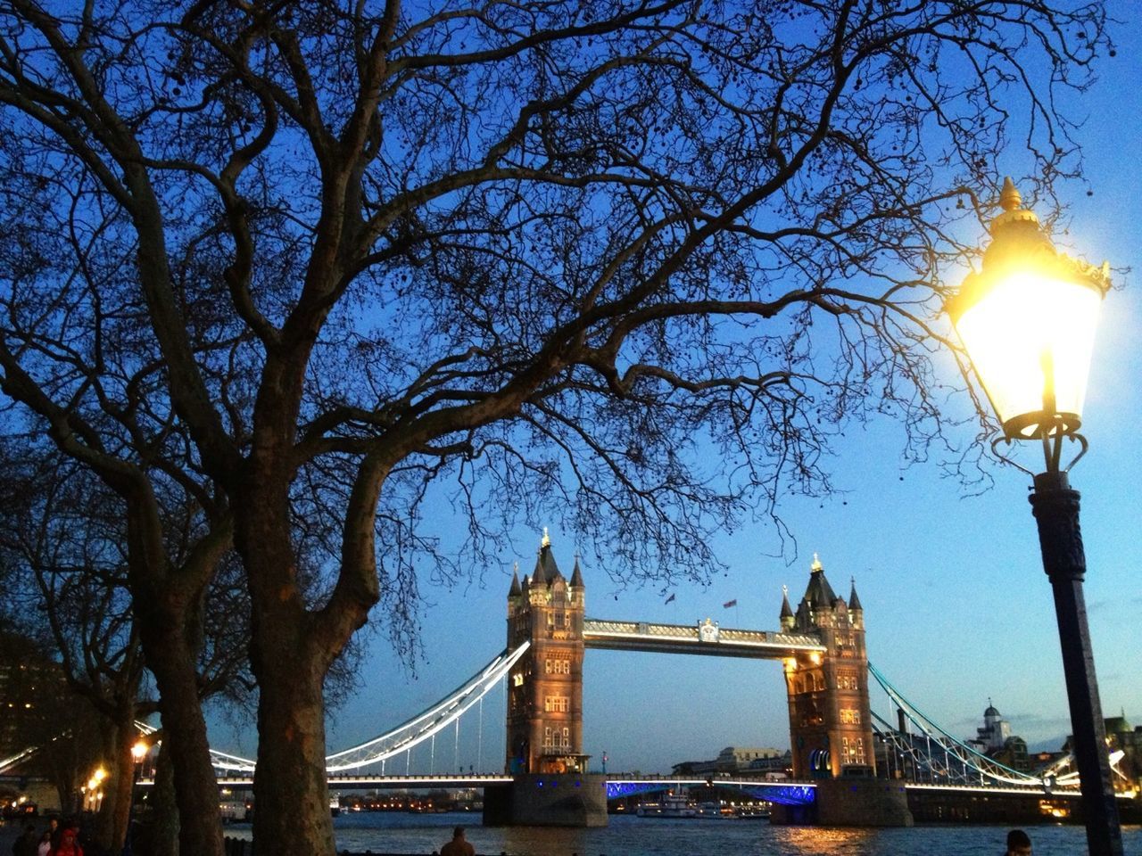 bridge - man made structure, built structure, architecture, connection, engineering, transportation, city, river, illuminated, sky, tree, travel destinations, building exterior, bridge, international landmark, famous place, low angle view, water, street light, travel