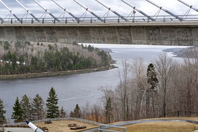 Bridge over river against trees