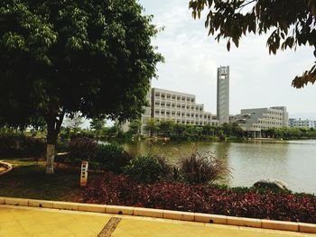 Buildings and trees in city against sky