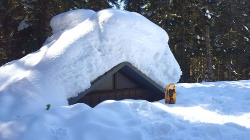 Snow covered house by building