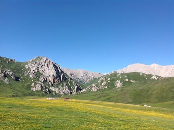 Scenic view of field against clear blue sky