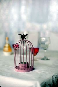 Close-up of food on table