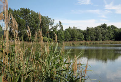 Scenic view of lake against sky