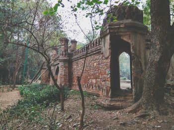 Abandoned built structure against trees in forest