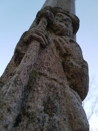 Low angle view of tree against clear sky