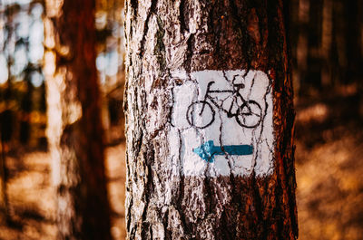 Close-up of heart shape on tree trunk in forest