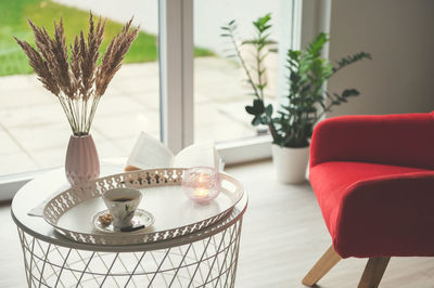 Potted plant on table at home