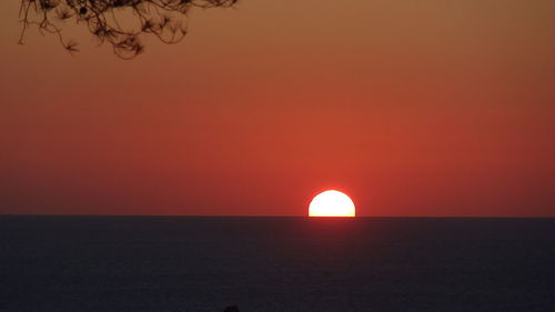 Silhouette of trees at sunset