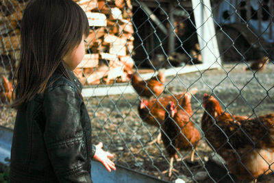 Girl looking at chicken birds