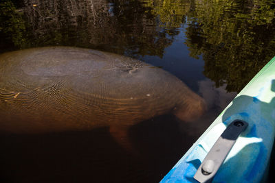 High angle view of a boat in a lake