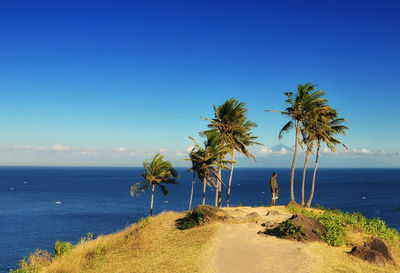 Full length of man standing on hill by sea