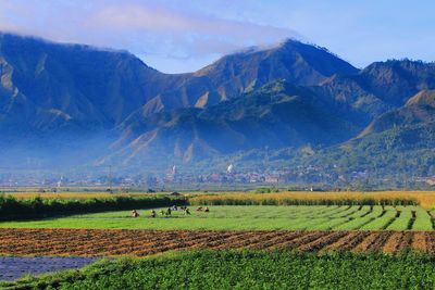 Scenic view of field and mountains against sky
