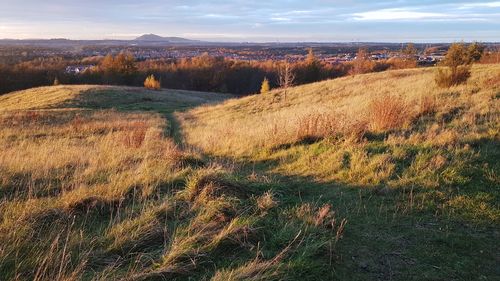 Scenic view of landscape against sky