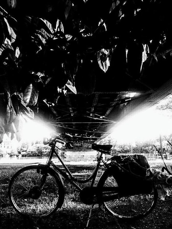 BICYCLES ON NIGHT