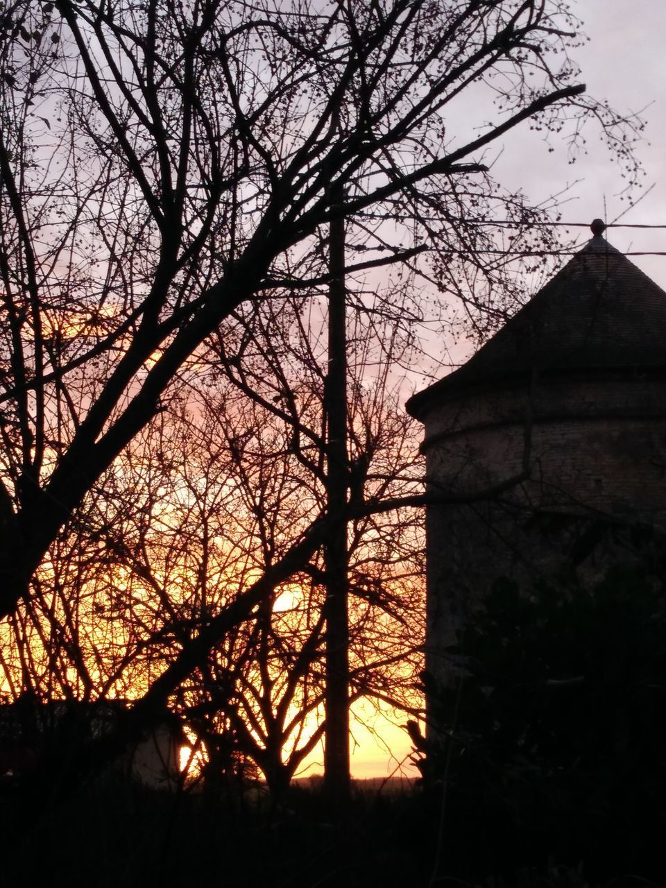 LOW ANGLE VIEW OF SILHOUETTE TREES BY BUILDING AGAINST SKY