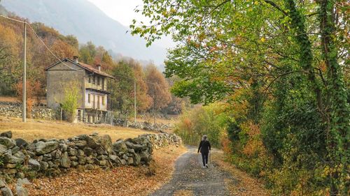 Rear view of people walking on road along trees