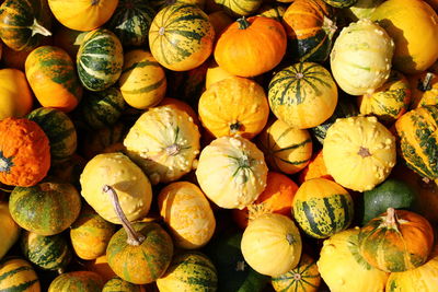 Full frame shot of pumpkins at market