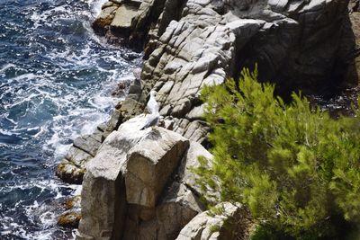 Sea waves splashing on rocks