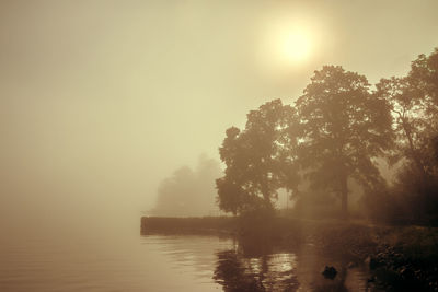 Silhouette trees by lake against sky during foggy weather