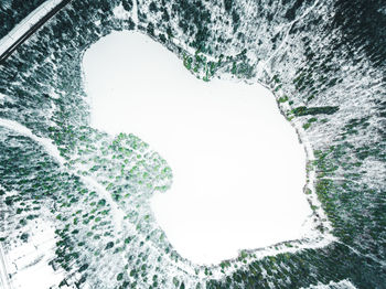 Aerial view of trees and frozen lake in forest