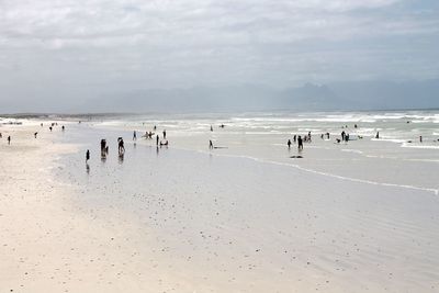 People on beach