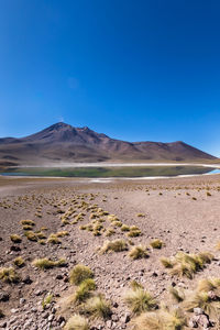 Scenic view of desert against clear blue sky