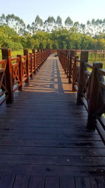 Boardwalk amidst trees against sky