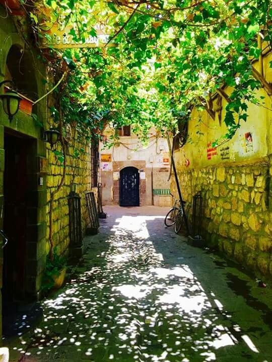 built structure, architecture, building exterior, the way forward, tree, plant, arch, leaf, green color, growth, ivy, day, building, wall - building feature, no people, house, outdoors, wall, diminishing perspective, door