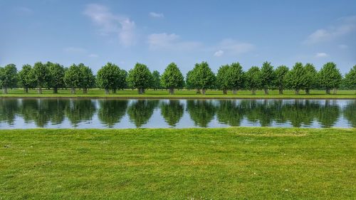 Reflection of trees in lake