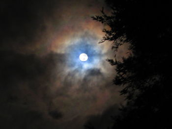 Low angle view of silhouette tree against sky at night