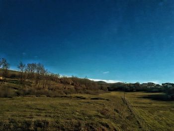 Scenic view of field against clear blue sky