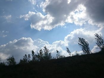 Low angle view of silhouette trees against sky