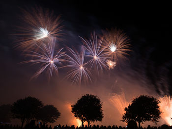 Silhouette people watching firework display at night