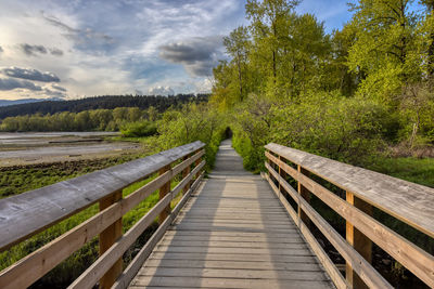 Wooden footbridge on footpath by trees against sky