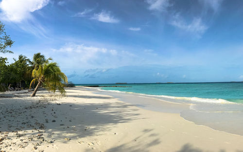 Scenic view of beach against blue sky