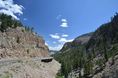 Panoramic shot of road amidst trees against sky