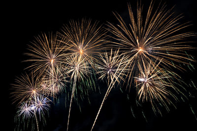 Low angle view of firework display at night