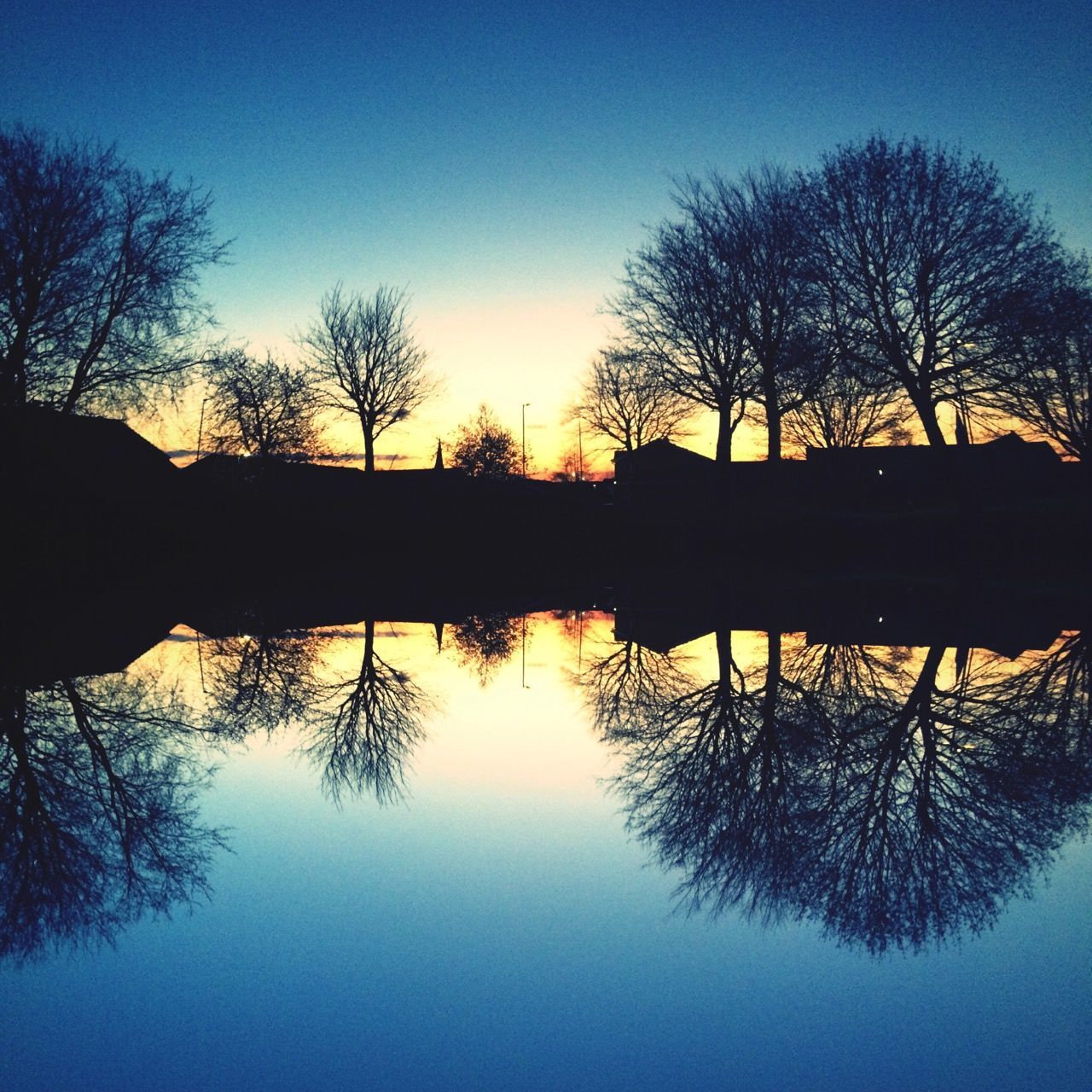 silhouette, tree, water, reflection, bare tree, clear sky, tranquility, tranquil scene, lake, sunset, scenics, beauty in nature, sun, nature, waterfront, blue, river, sky, copy space, branch