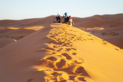 Scenic view of landscape