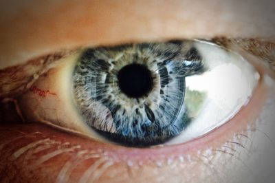 Close-up portrait of human eye