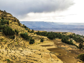 Scenic view of landscape against sky