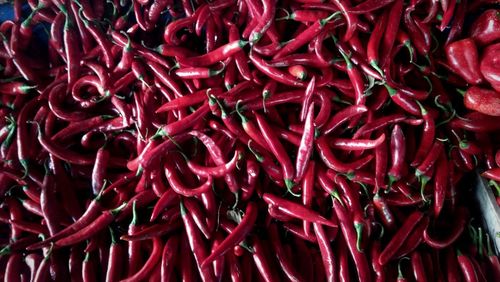 Full frame shot of red chili peppers