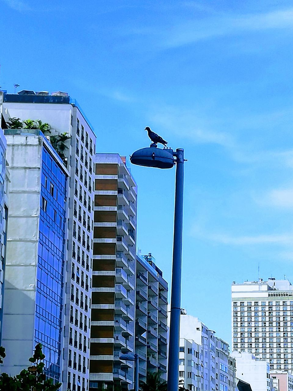 building exterior, built structure, architecture, sky, building, city, blue, low angle view, nature, day, no people, office building exterior, street light, street, office, residential district, modern, lighting equipment, sunlight, outdoors, skyscraper, construction equipment