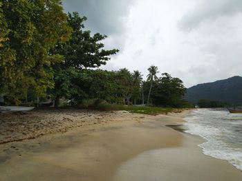 Scenic view of beach against sky