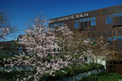 Low angle view of plants against building