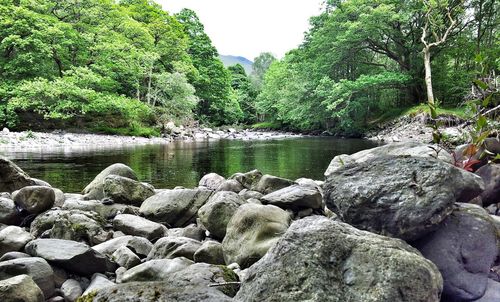 Rocks in river